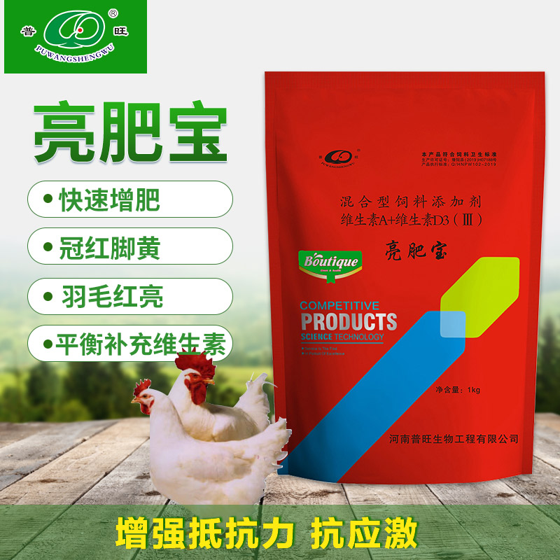 亮肥寶