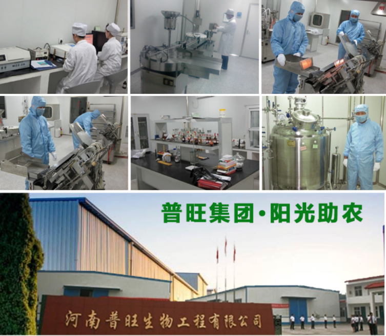 普旺獸藥生產(chǎn)基地及檢測實驗室